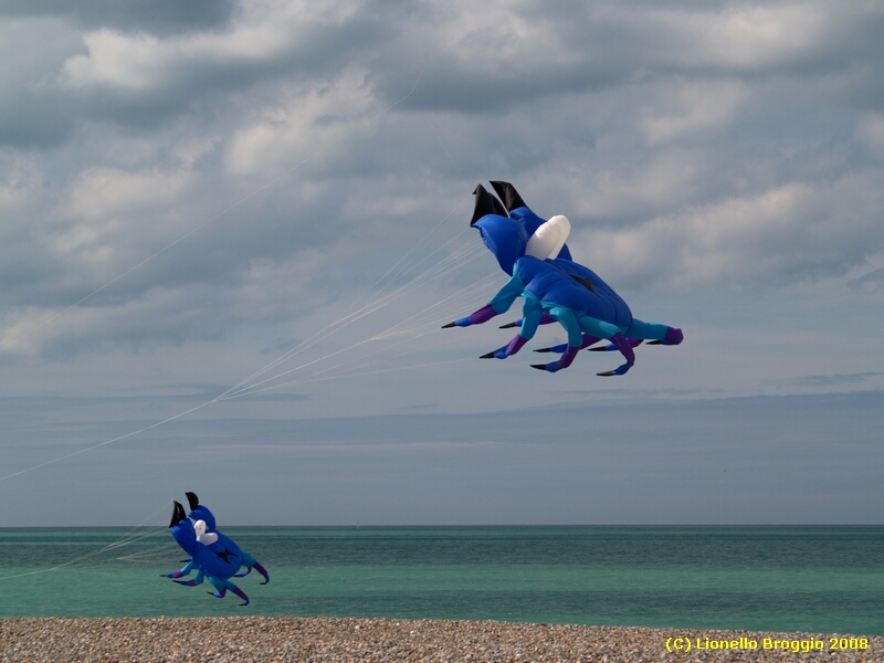 Dieppe2008118.jpg - OLYMPUS DIGITAL CAMERA         