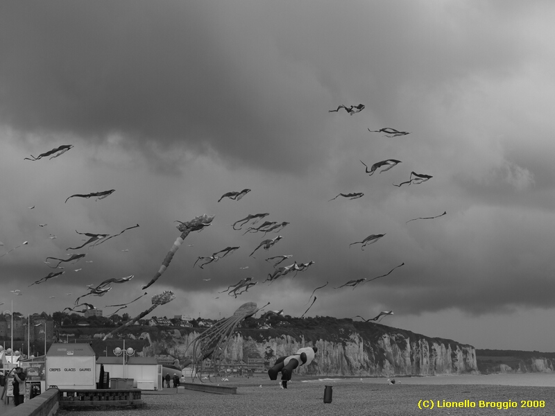 Dieppe2008166.jpg - OLYMPUS DIGITAL CAMERA         