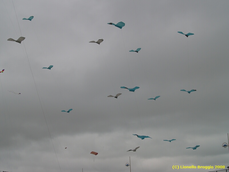 Dieppe2008251.jpg - OLYMPUS DIGITAL CAMERA         