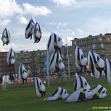 Dieppe2008022