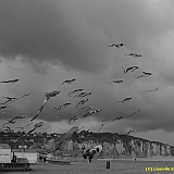 Dieppe2008166