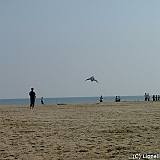 ecupcervia2005-0037