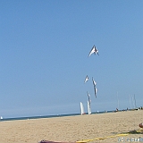 ecupcervia2005-0081