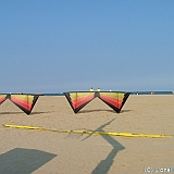 ecupcervia2005-0086