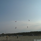 ecupcervia2005-0097