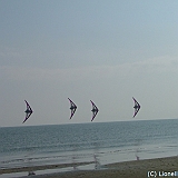 ecupcervia2005-0107