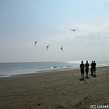 ecupcervia2005-0108